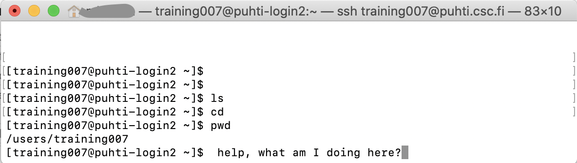 Print screen of command line where the user is trying different commands and finally typing "help, what am I doing here?".